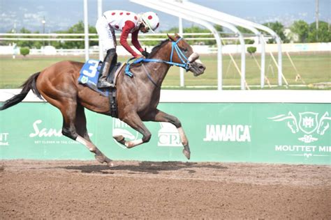 caymanas park results today|DaCosta reaches milestone 300 wins at Caymanas Park.